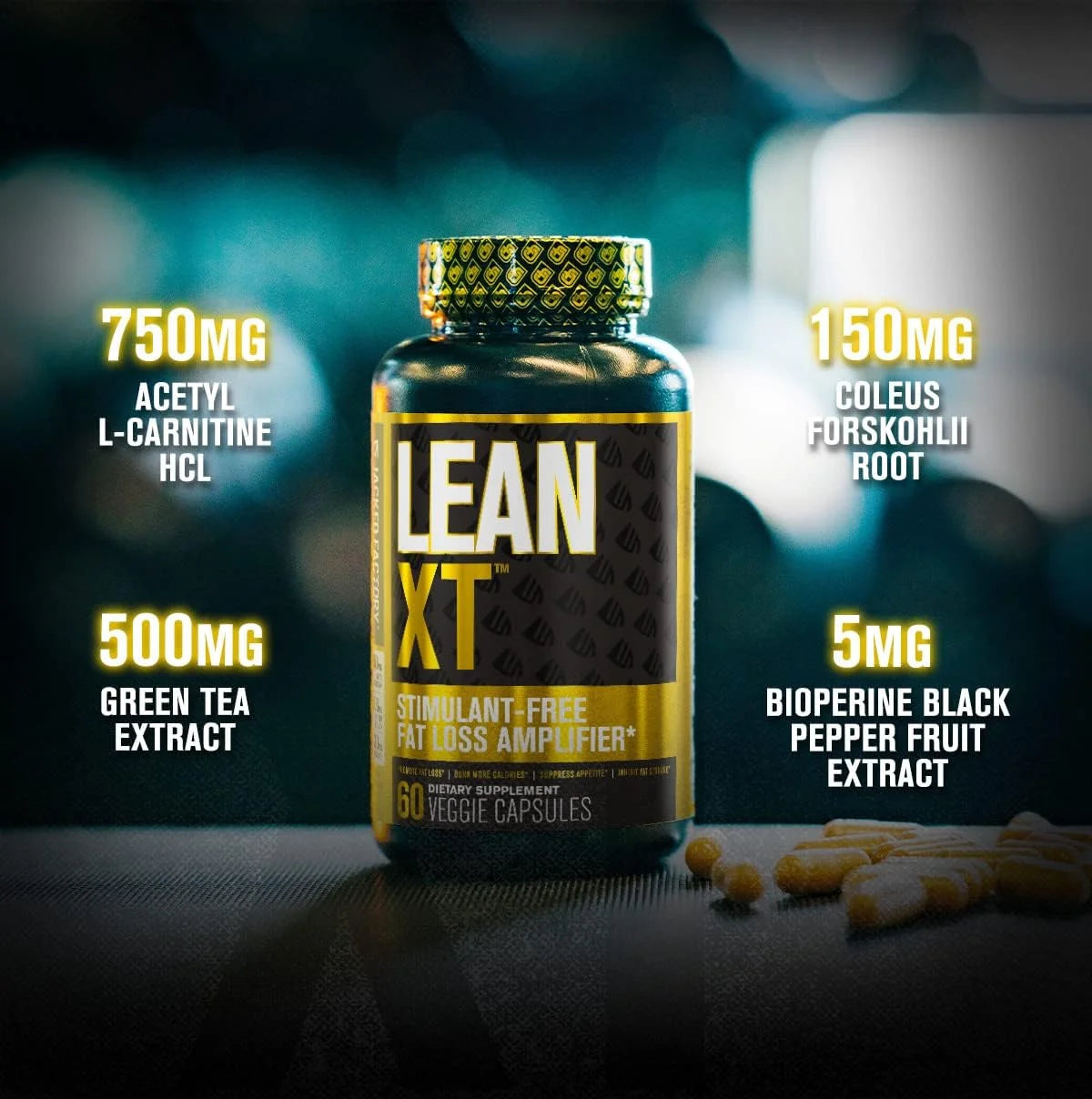 Lean-Xt Non Stimulant Fat Burner - Weight Loss Supplement, Appetite Suppressant, & Metabolism Booster with Acetyl L-Carnitine, Green Tea Extract, & Forskolin - 60 Count